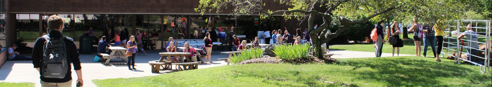 Students enjoy ɫ's Sidney campus picnic area